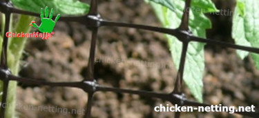 Chicken Netting