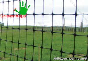 Chicken netting placed for deers protection 