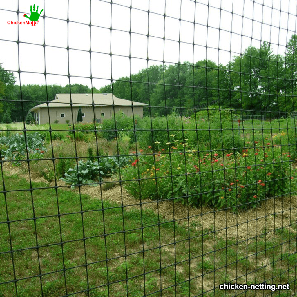 Chicken mesh for henhouse 