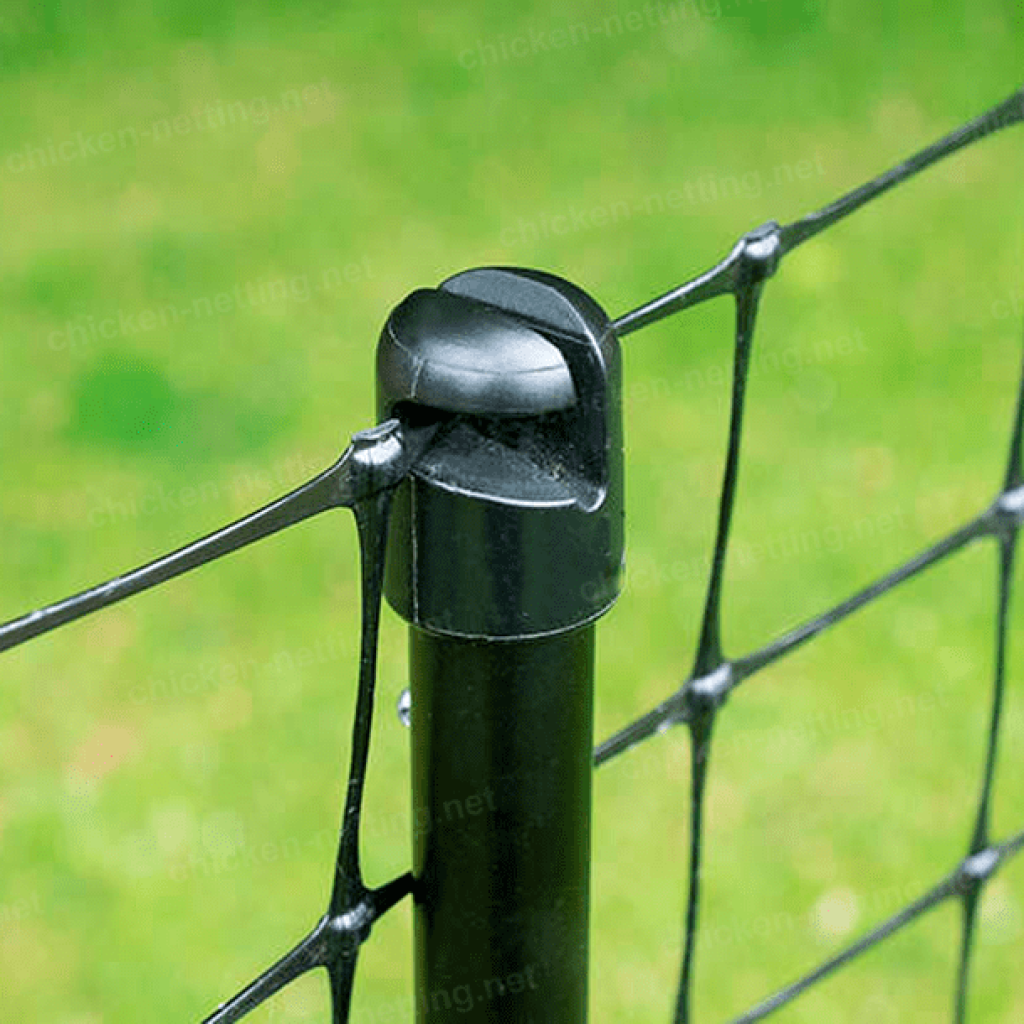 Chicken netting for protect chickens 